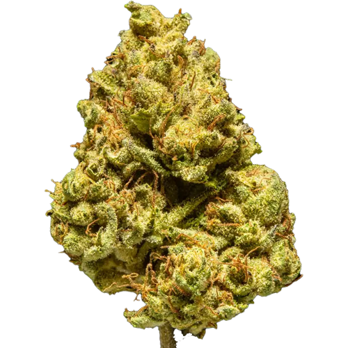 Triple Cheese