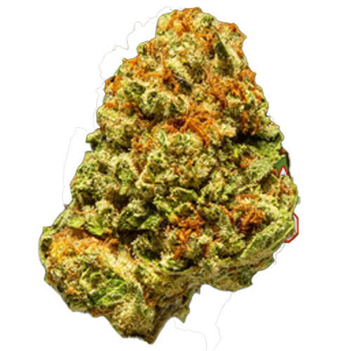 Devil Fruit
